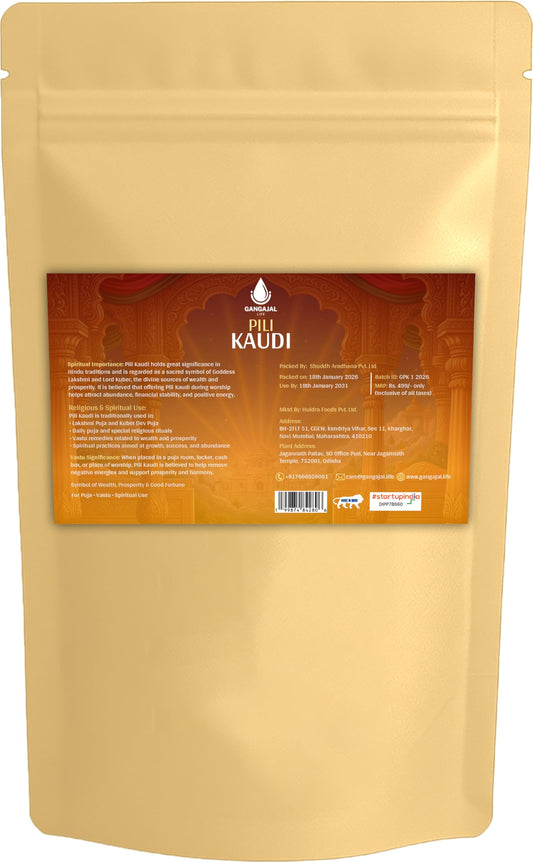 Gangajallife Peeli Kodi Shell Pack of 11 Cowrie Shells - Original PILI Kodi from Ganga - Kaudi Shells for Vastu.