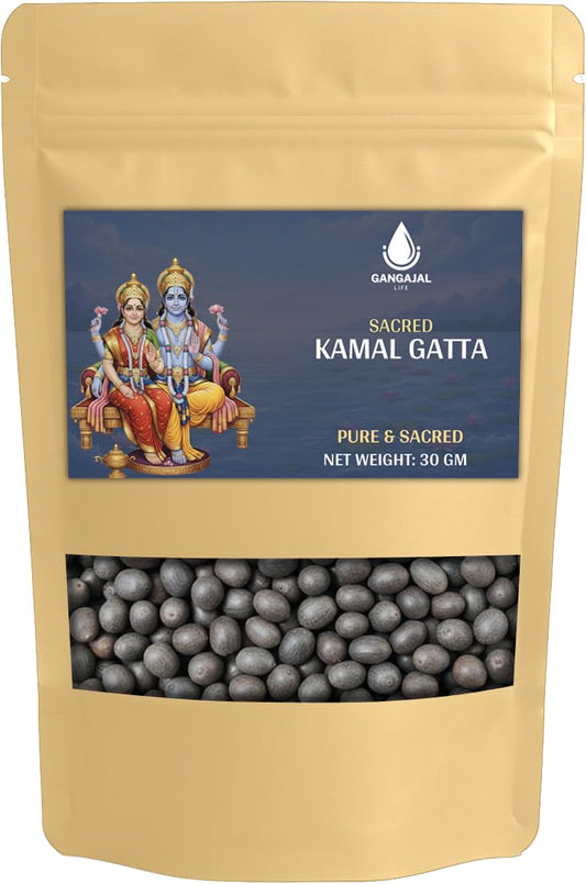 Gangajallife Kamal Gatta Seed, Water Lotus Flower Plant Seeds for Pooja, Laxmi Havan, Rosary of Kamalgatta(11 pcs)