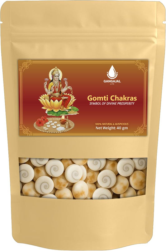 Gangajallife Certified Gomati Chakra for Lakshmi Puja –Original Gomti River Dwarka Shells for Wealth & Protection (11 pcs).