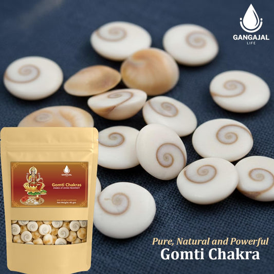 Gangajallife Certified Gomati Chakra for Lakshmi Puja –Original Gomti River Dwarka Shells for Wealth & Protection (11 pcs).