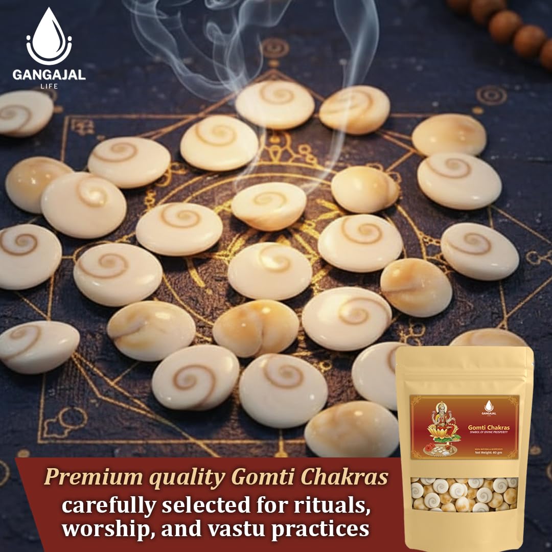 Gangajallife Certified Gomati Chakra for Lakshmi Puja –Original Gomti River Dwarka Shells for Wealth & Protection (11 pcs).