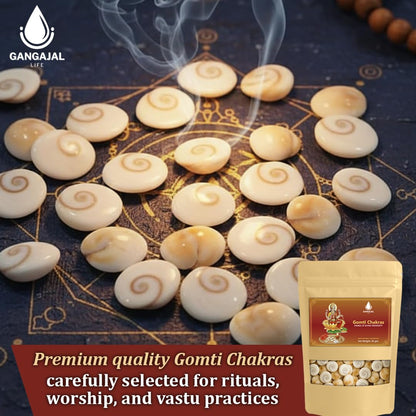 Gangajallife Certified Gomati Chakra for Lakshmi Puja –Original Gomti River Dwarka Shells for Wealth & Protection (11 pcs).