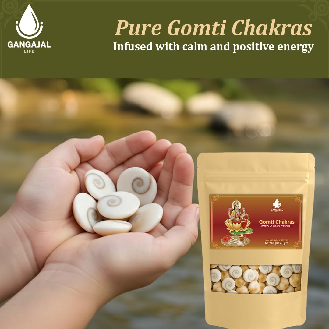 Gangajallife Certified Gomati Chakra for Lakshmi Puja –Original Gomti River Dwarka Shells for Wealth & Protection (11 pcs).