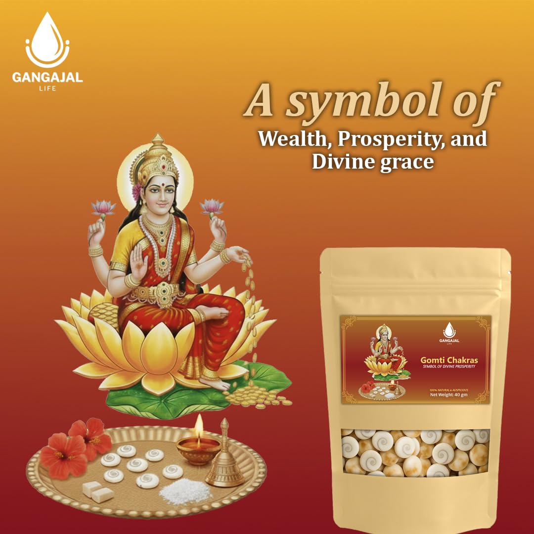 Gangajallife Certified Gomati Chakra for Lakshmi Puja –Original Gomti River Dwarka Shells for Wealth & Protection (11 pcs).