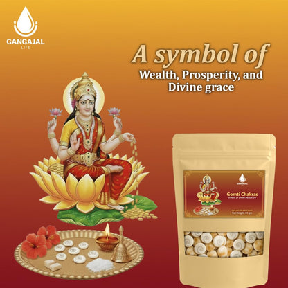 Gangajallife Certified Gomati Chakra for Lakshmi Puja –Original Gomti River Dwarka Shells for Wealth & Protection (11 pcs).