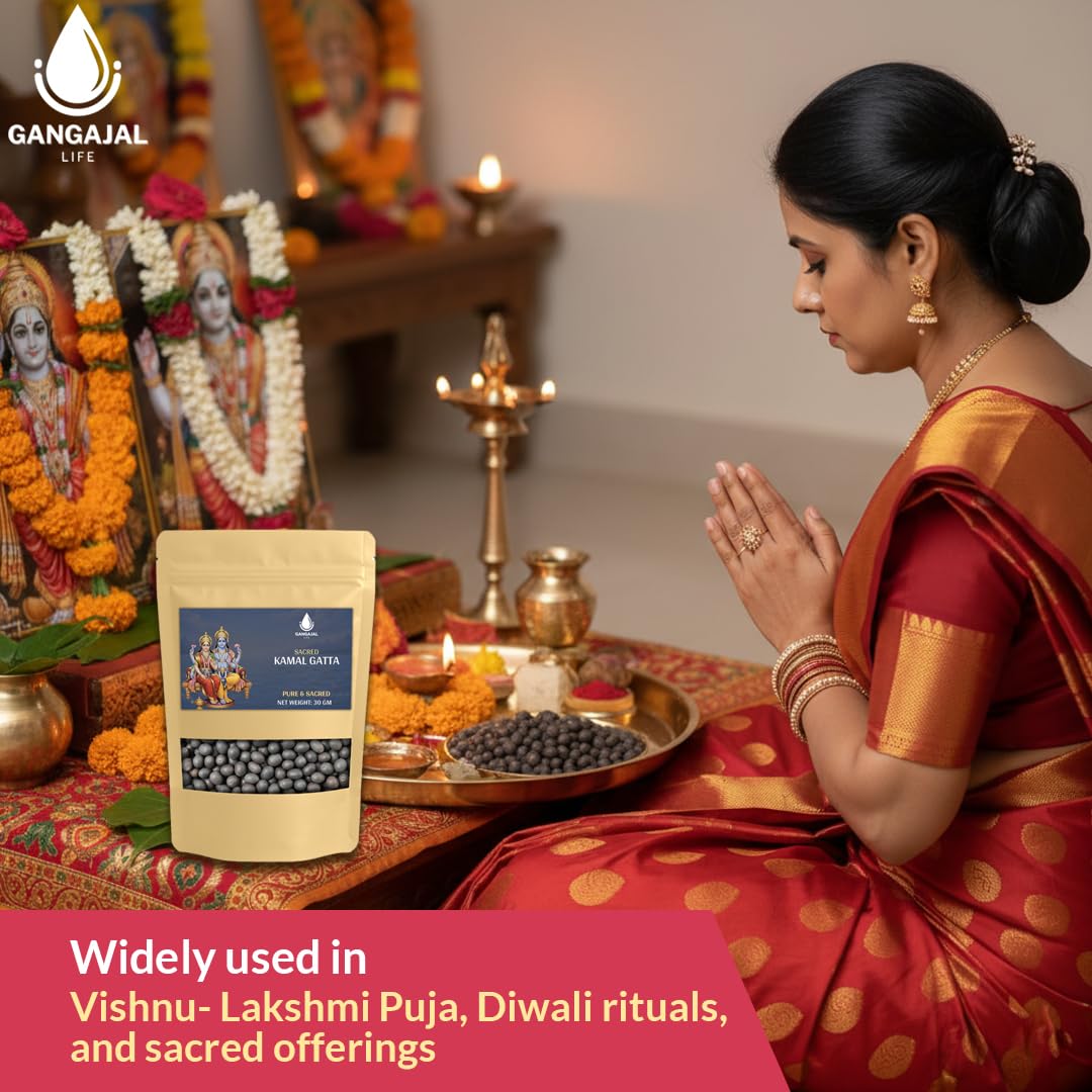 Gangajallife Kamal Gatta Seed, Water Lotus Flower Plant Seeds for Pooja, Laxmi Havan, Rosary of Kamalgatta(11 pcs)