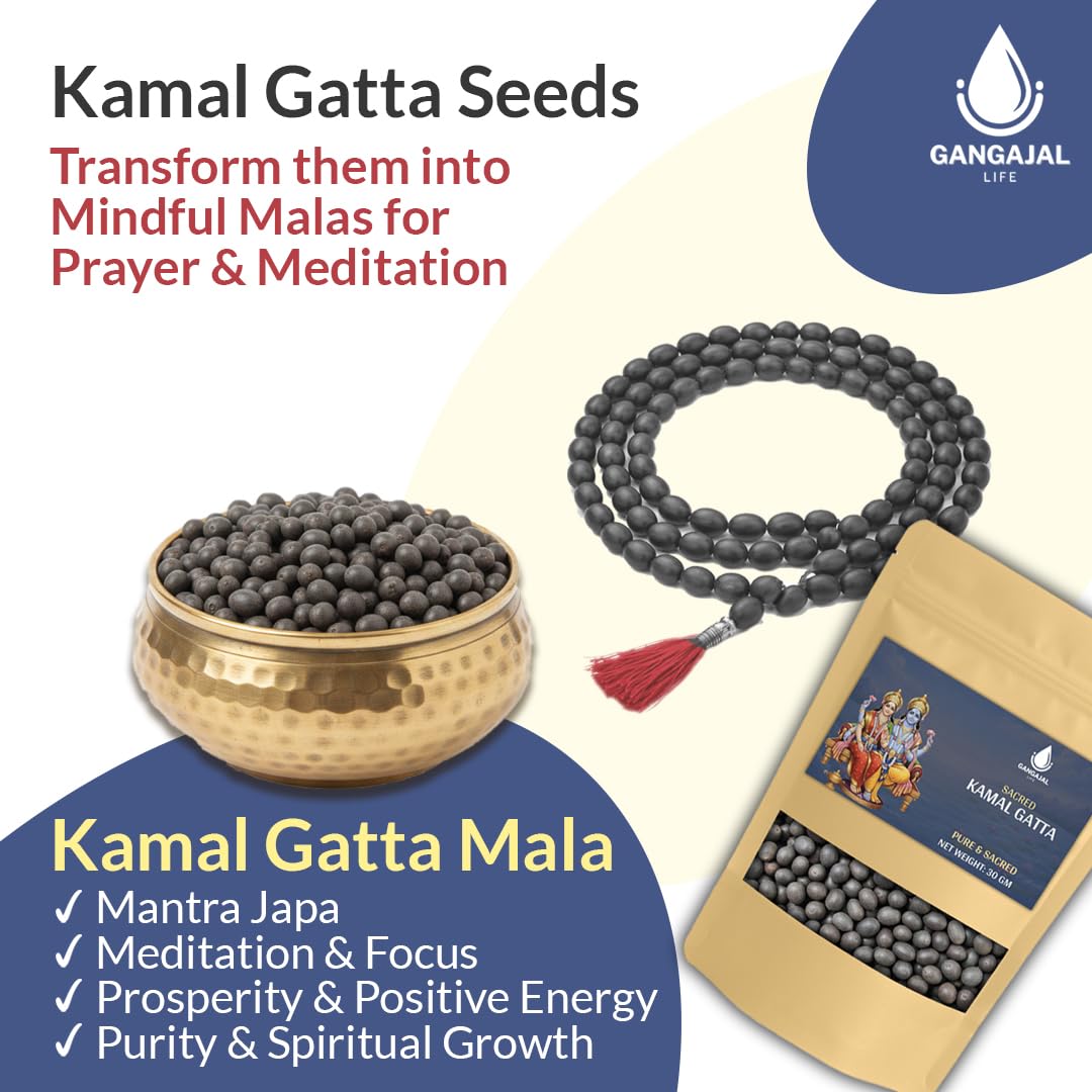 Gangajallife Kamal Gatta Seed, Water Lotus Flower Plant Seeds for Pooja, Laxmi Havan, Rosary of Kamalgatta(11 pcs)