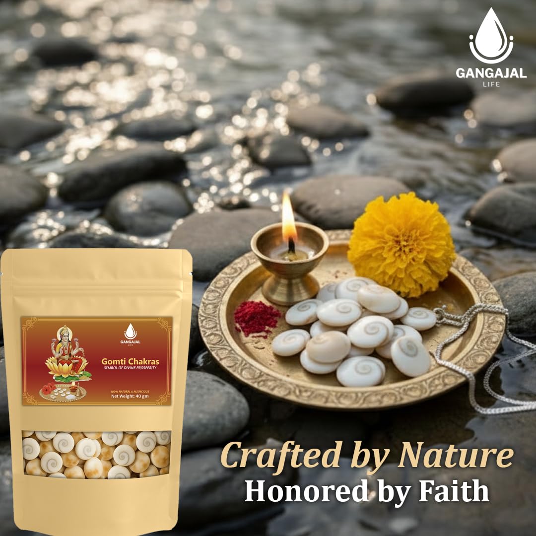 Gangajallife Certified Gomati Chakra for Lakshmi Puja –Original Gomti River Dwarka Shells for Wealth & Protection (11 pcs).