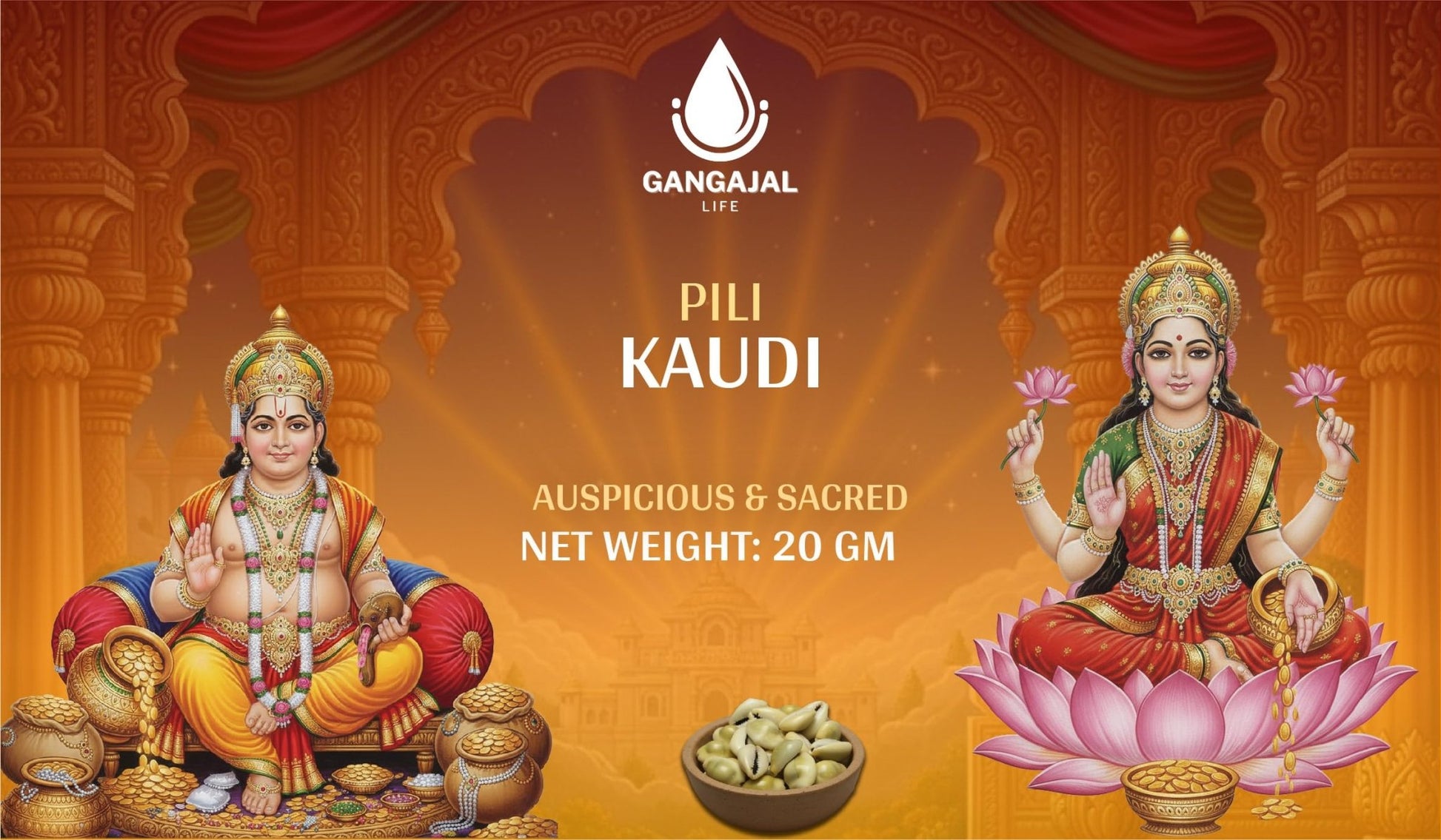 Gangajallife Peeli Kodi Shell Pack of 11 Cowrie Shells - Original PILI Kodi from Ganga - Kaudi Shells for Vastu.